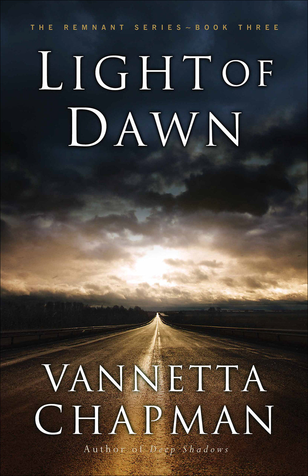 Light of Dawn (#03 in The Remnant Series)