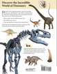 Guide to Dinosaurs