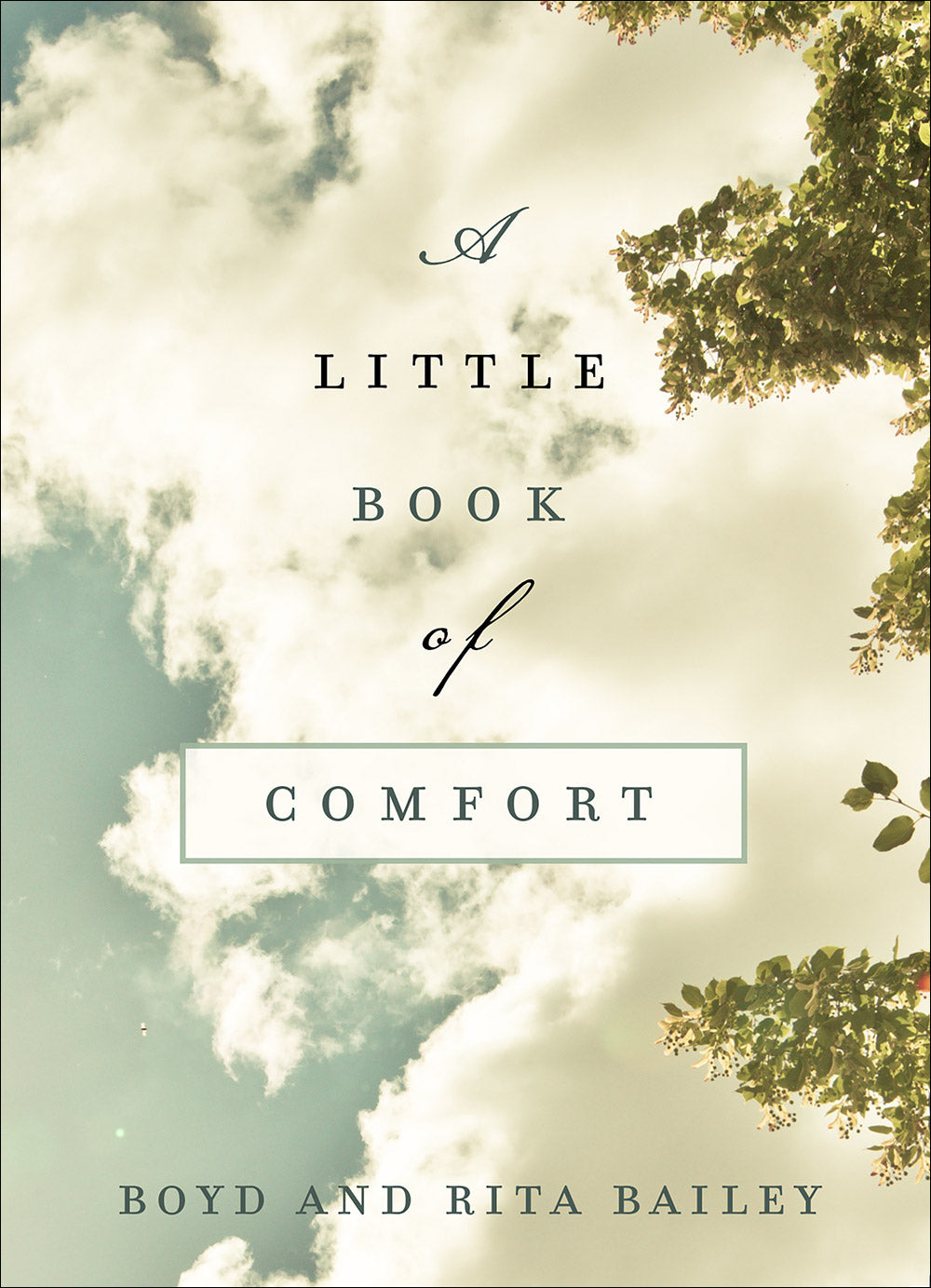 A Little Book of Comfort: Healing Reflections For Those Who Hurt