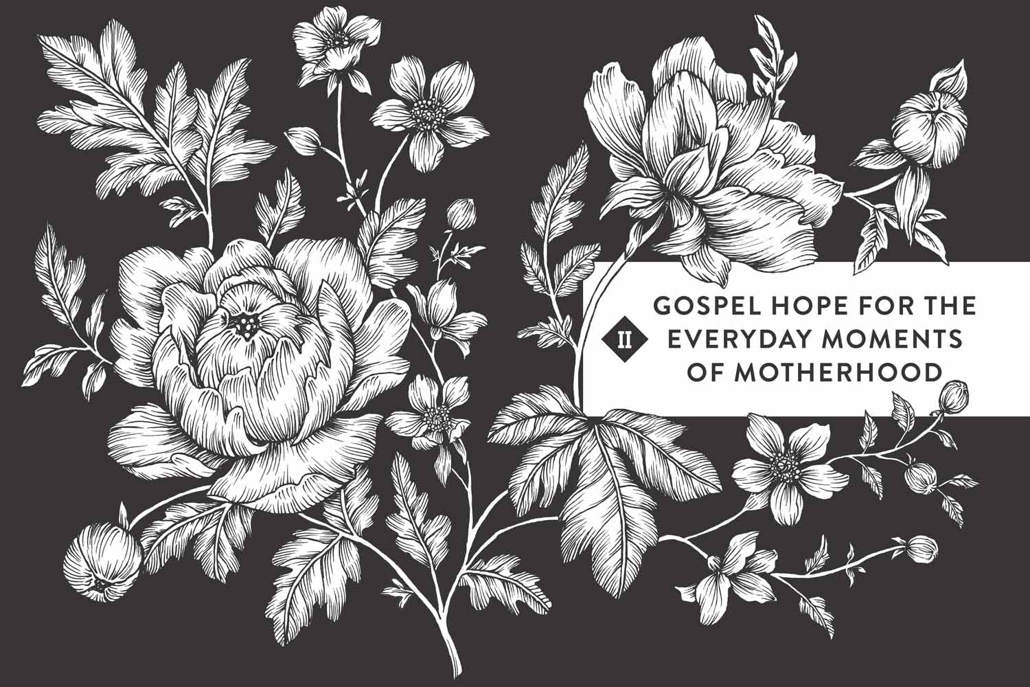 Risen Motherhood: Gospel Hope For Everyday Moments