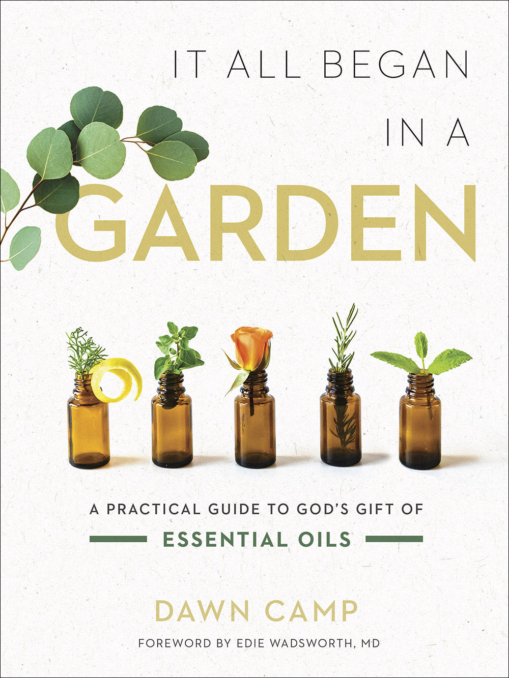 It All Began in a Garden: A Practical Guide to God's Gift of Essential Oils