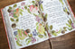 Gracelaced: Discovering Timeless Truths Through Seasons of the Heart (Deluxe Edition)