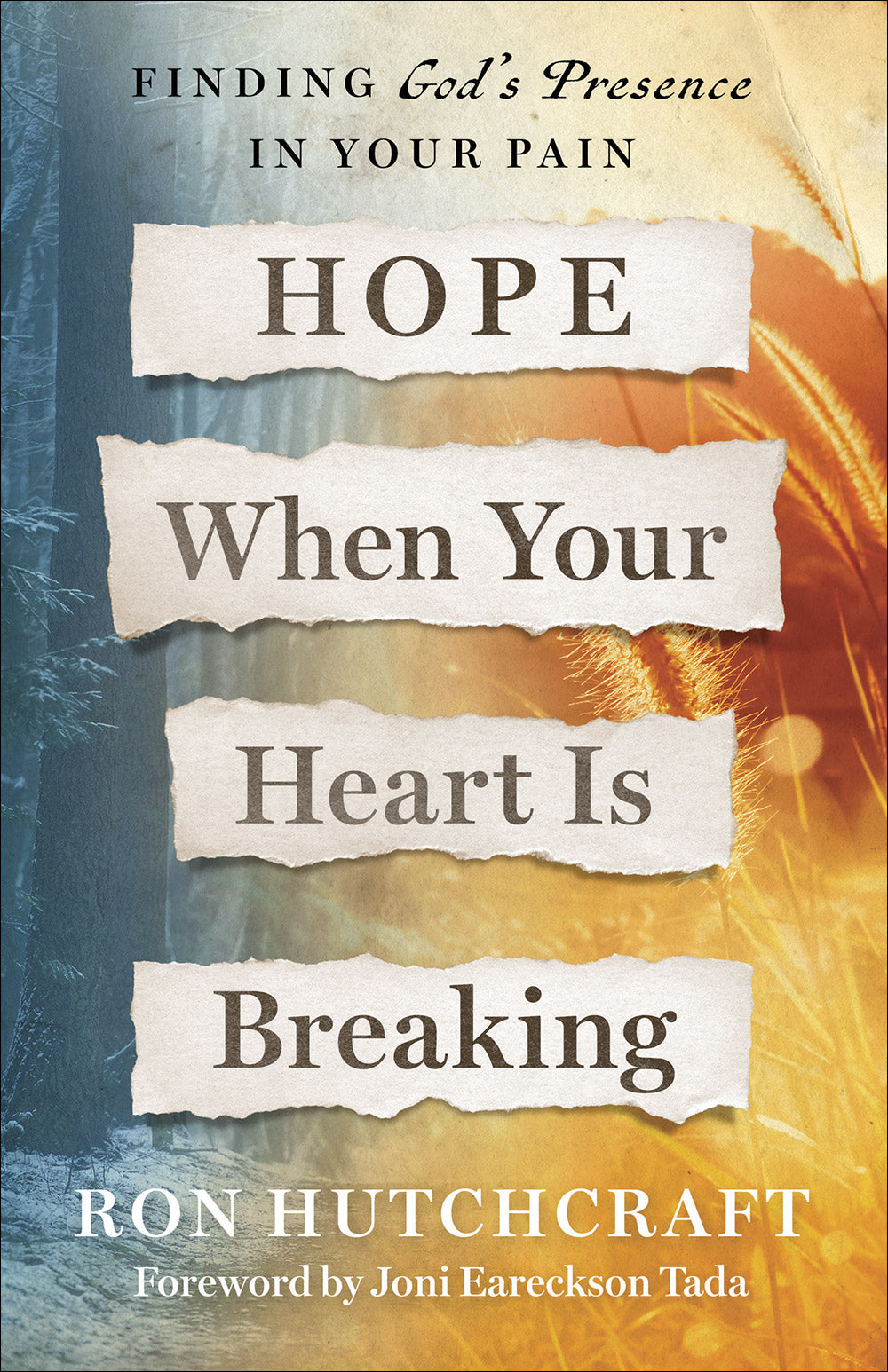 Hope When Your Heart is Breaking: Finding God's Presence in Your Pain