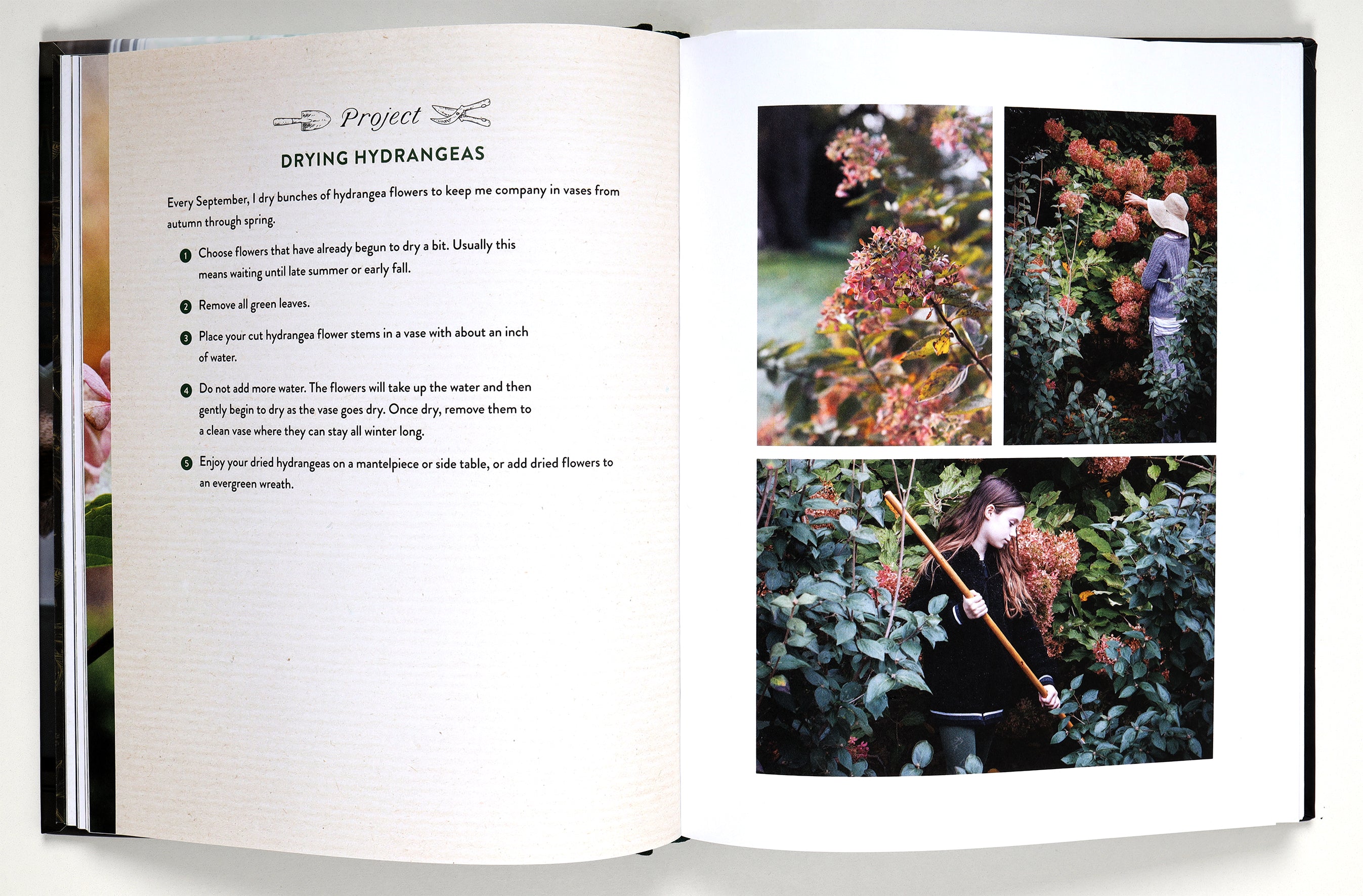 A Home in Bloom: Four Enchanted Seasons With Flowers