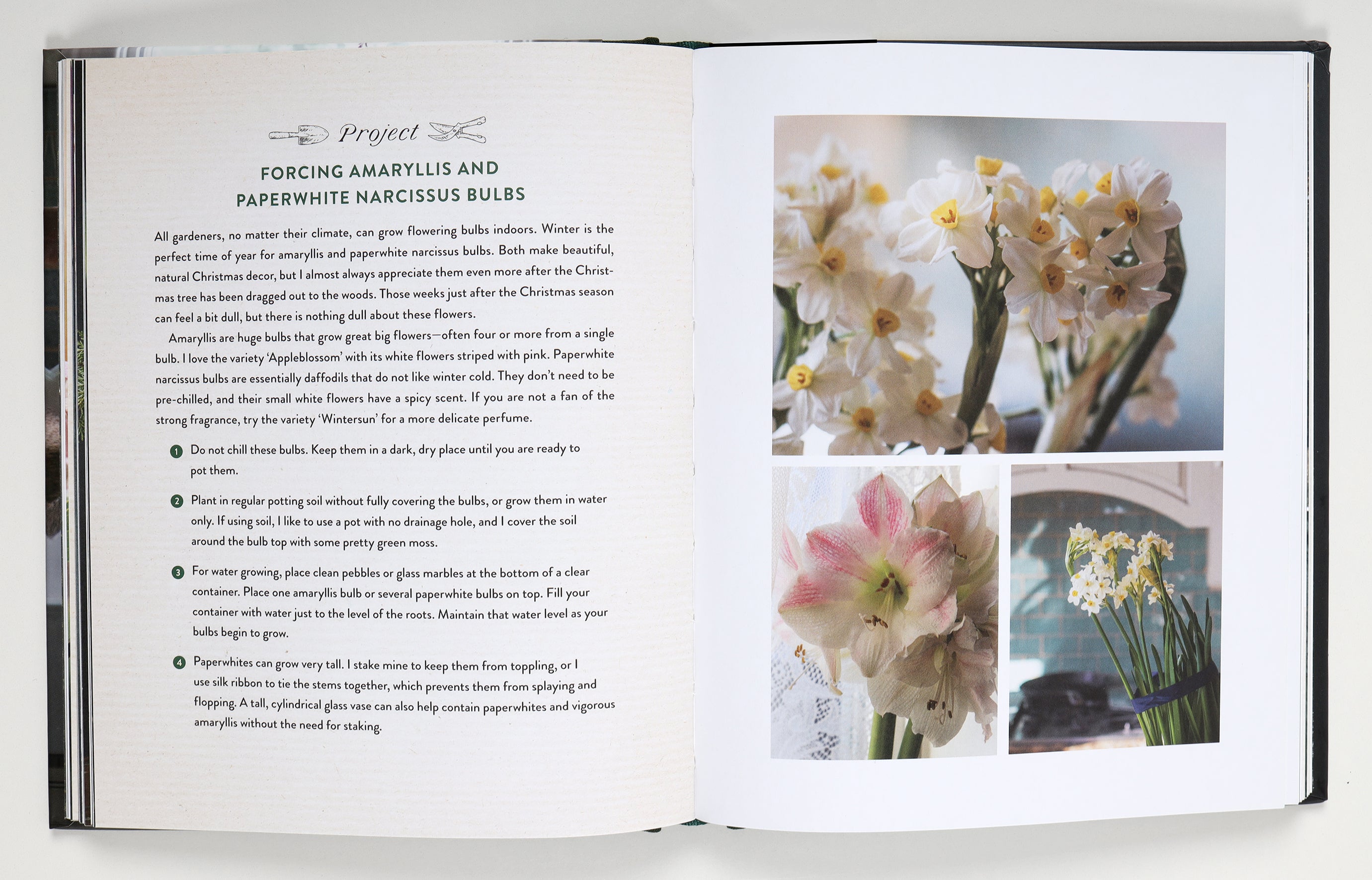A Home in Bloom: Four Enchanted Seasons With Flowers