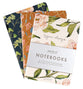 Notebook: Gracelaced: Rejoice, Pray, Give (Set Of 3)