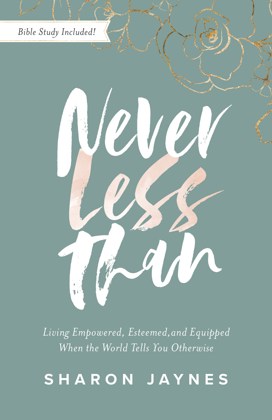 Never Less Than: Living Empowered, Esteemed, and Equipped When the World Tells You Otherwise