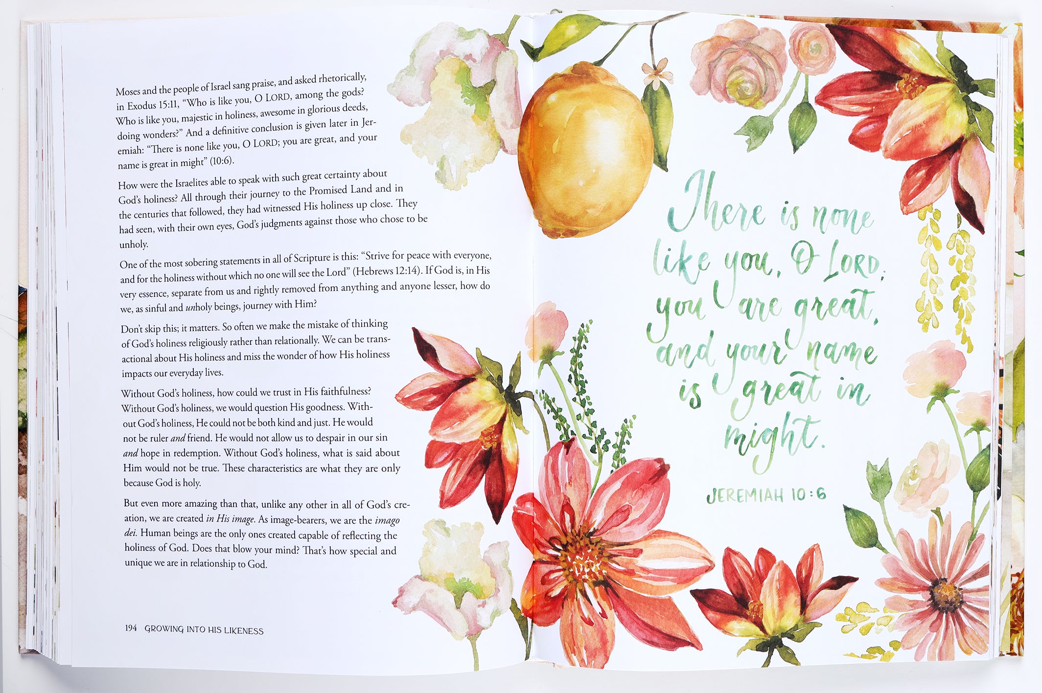 Pilgrim: 25 Ways God's Character Leads Us Onward