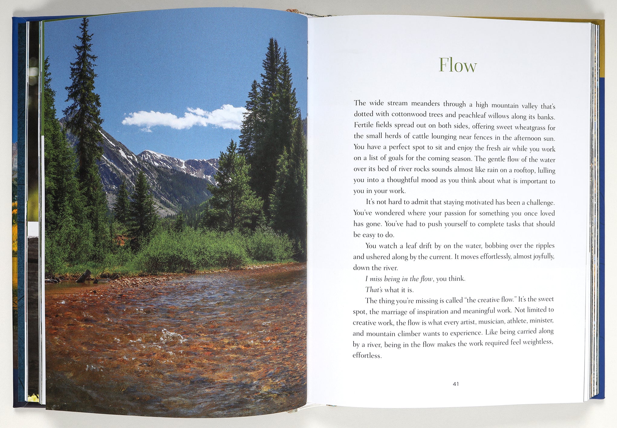 Your Mountain is Calling: Finding God in Untamed Places