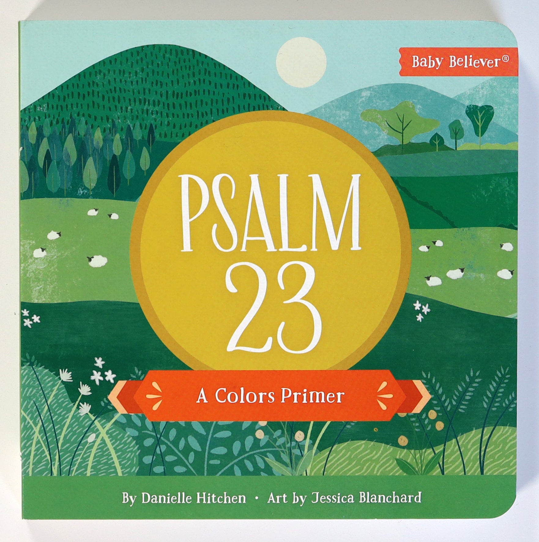 Psalm 23: A Colors Primer