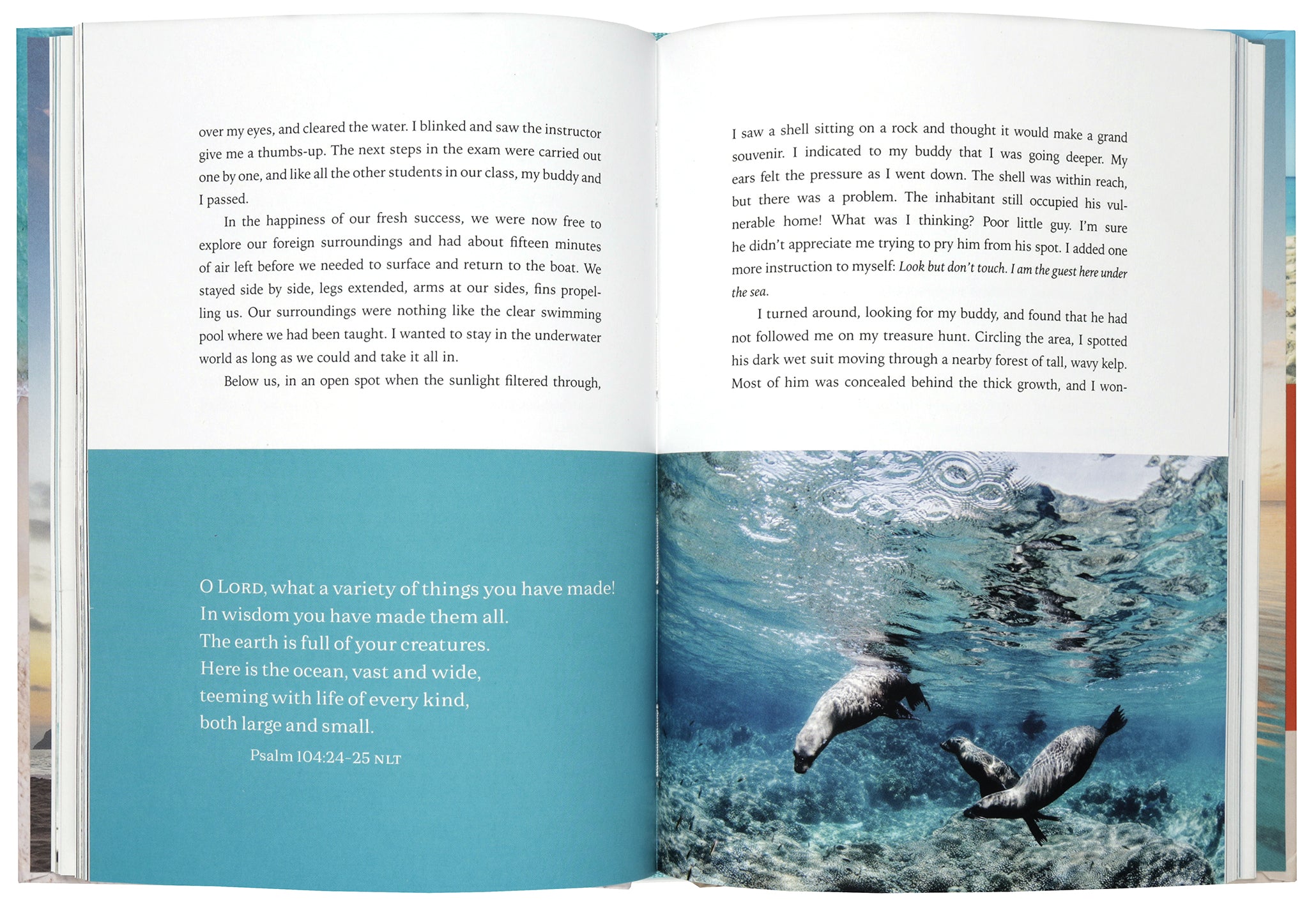 By the Sea: Glimpses of Eternity, Reflections of Simple Hope