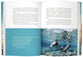 By the Sea: Glimpses of Eternity, Reflections of Simple Hope