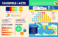Bible Infographics for Kids Bible Handbook: A One-Of-A-Kind-Super-Informative Guide to Every Book of the Bible