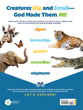  Let's Explore Amazing Animals