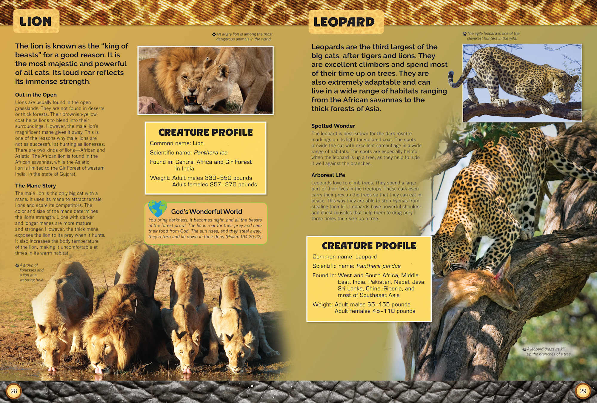  Let's Explore Amazing Animals