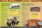  Let's Explore Amazing Animals