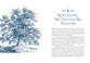 The Faith of Jane Austen: A Life Shaped by Wit, Wisdom, and the Love of God