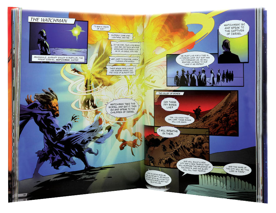 The Lion Comic Book Hero Bible