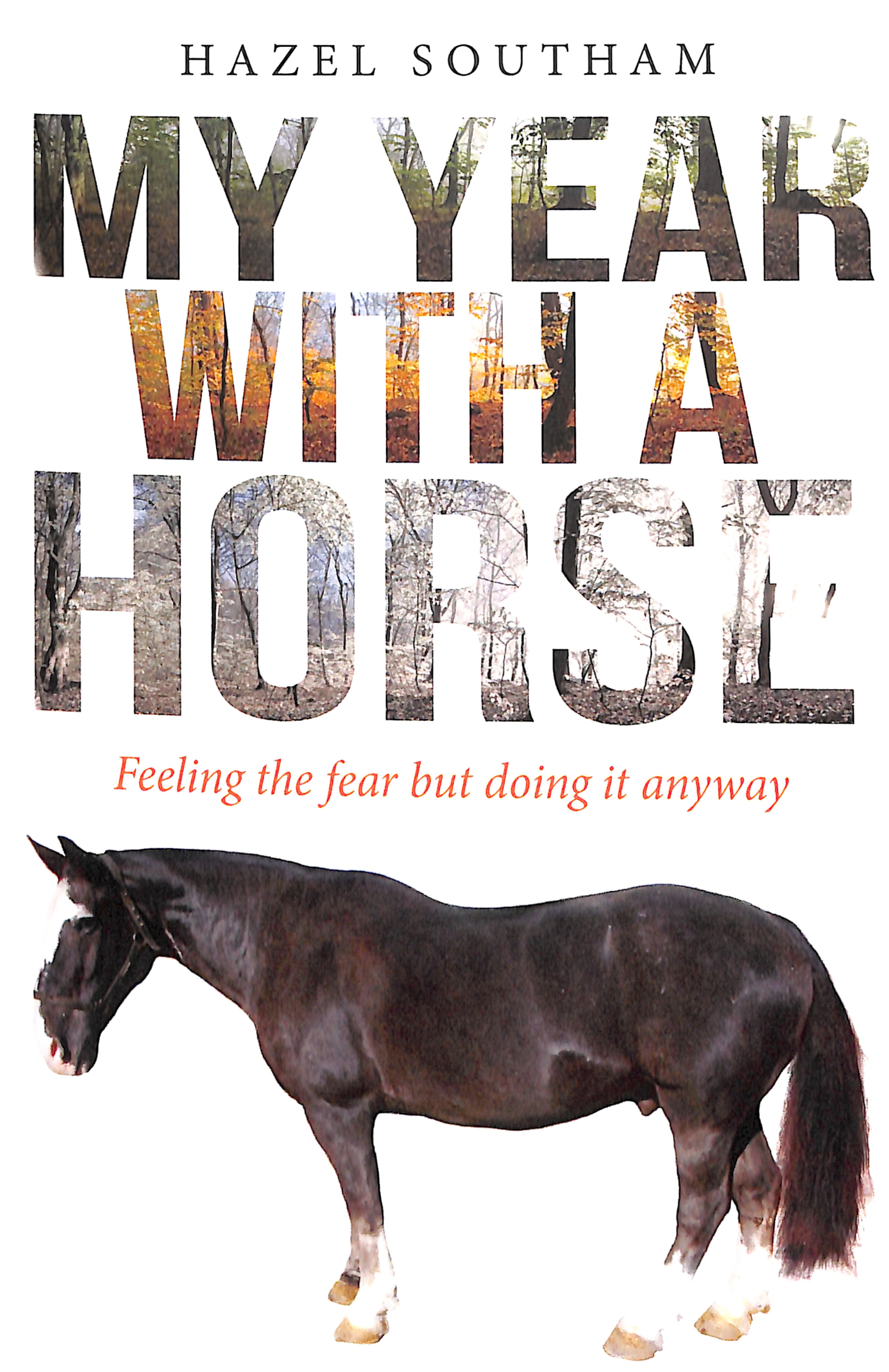 My Year With a Horse