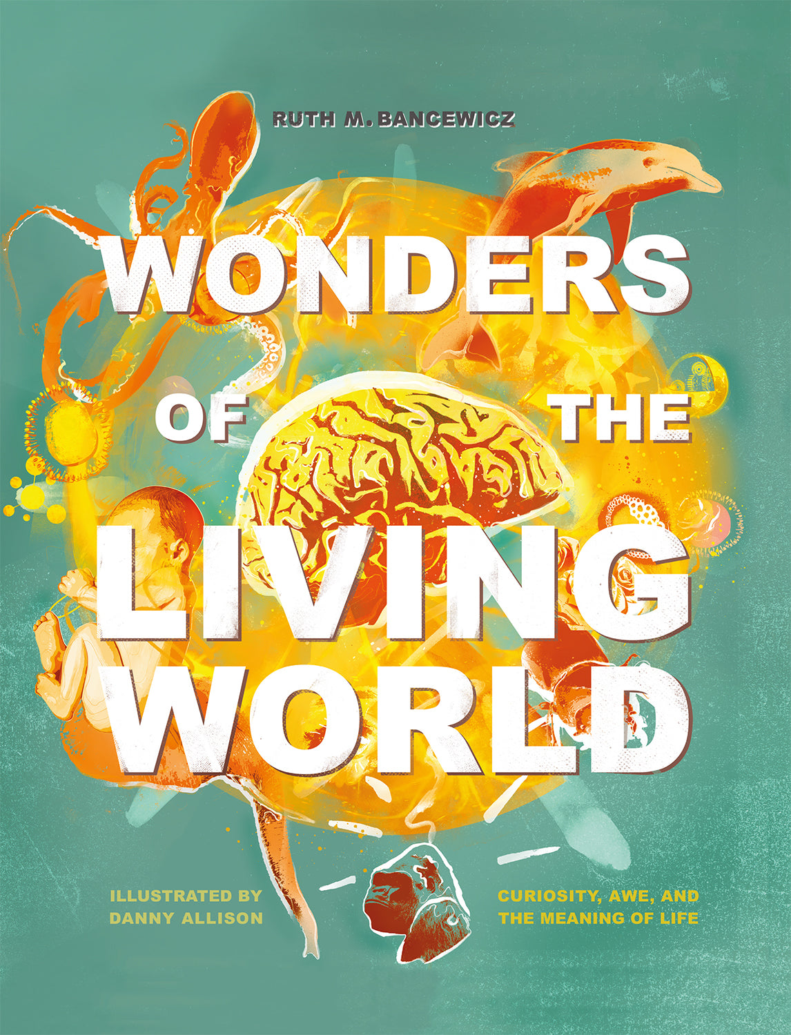 Wonders of the Living World: Biology and Belief