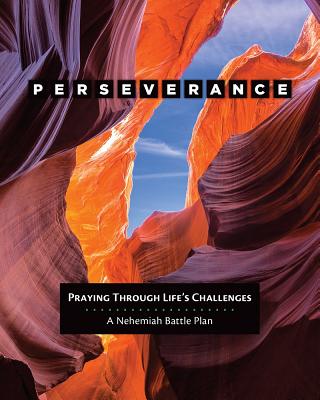 Perseverance: A Nehemiah Battle Plan (8 Sessions)