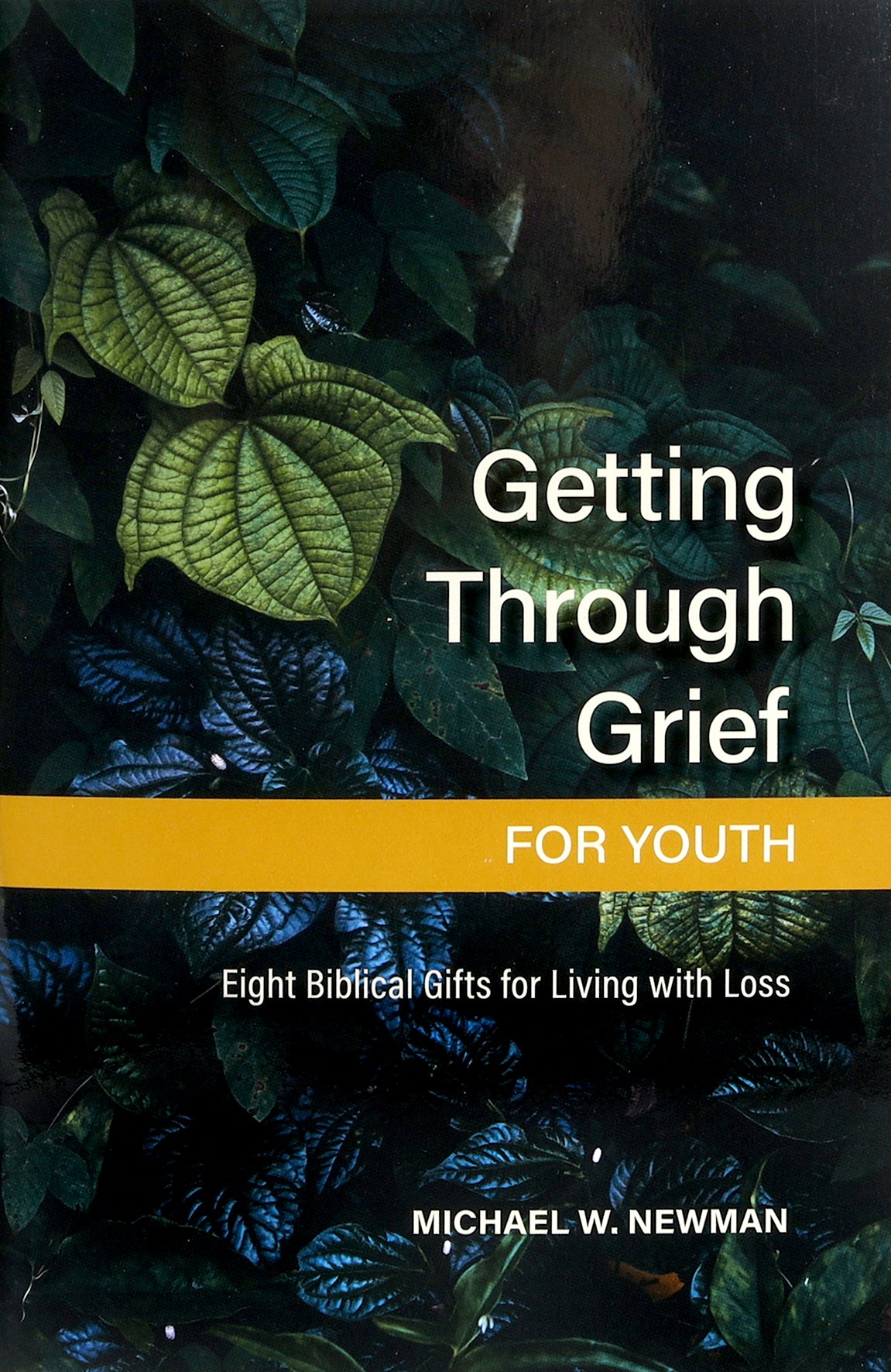 Getting Through Grief For Youth: Eight Biblical Gifts For Living With Loss