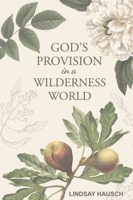 God's Provision in a Wilderness World (8-week Woman's Bible Study)