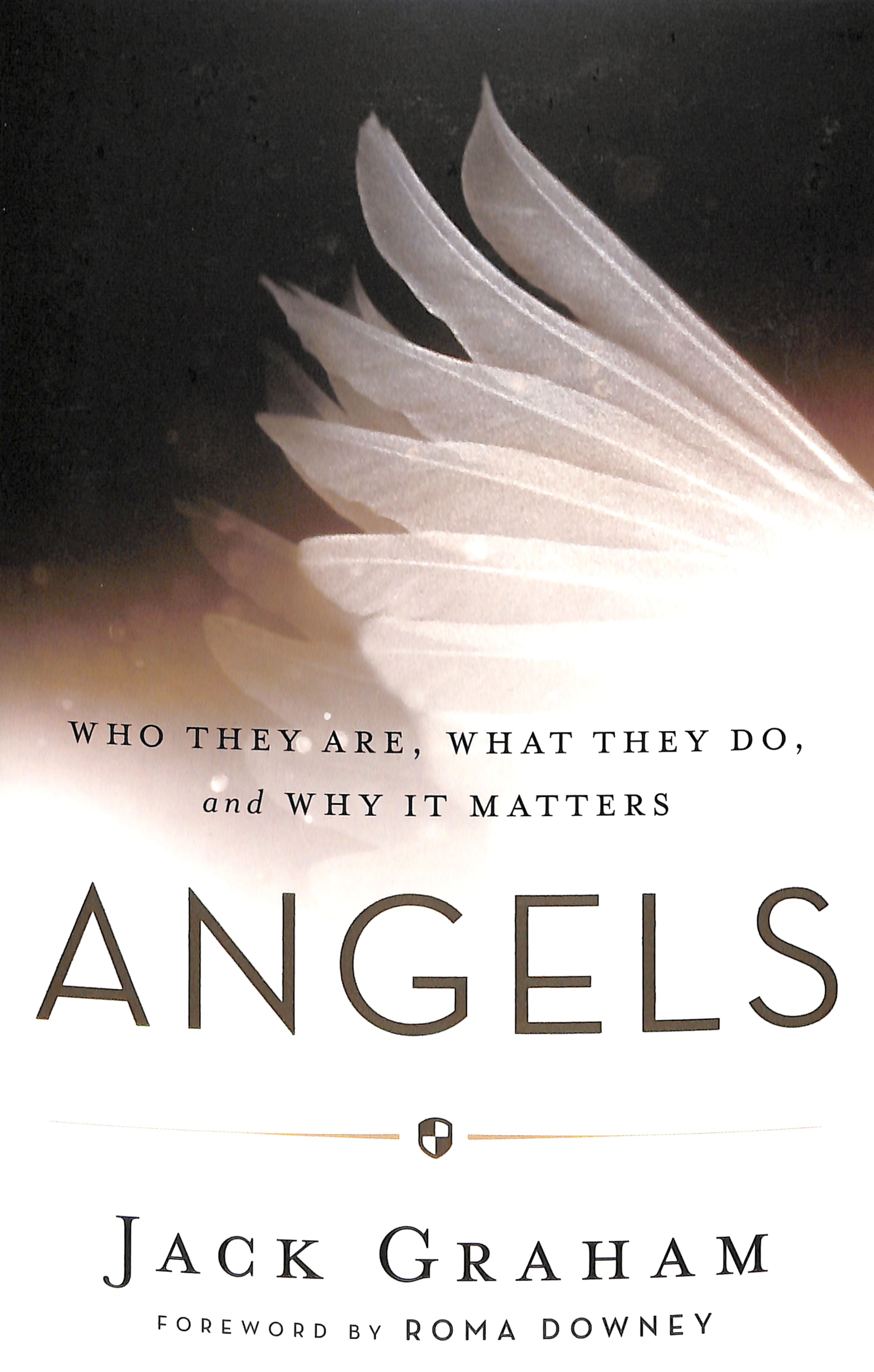 Angels: Who They Are, What They Do, and Why It Matters