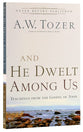 And He Dwelt Among Us: Teachings From the Gospel of John (New Tozer Collection Series)
