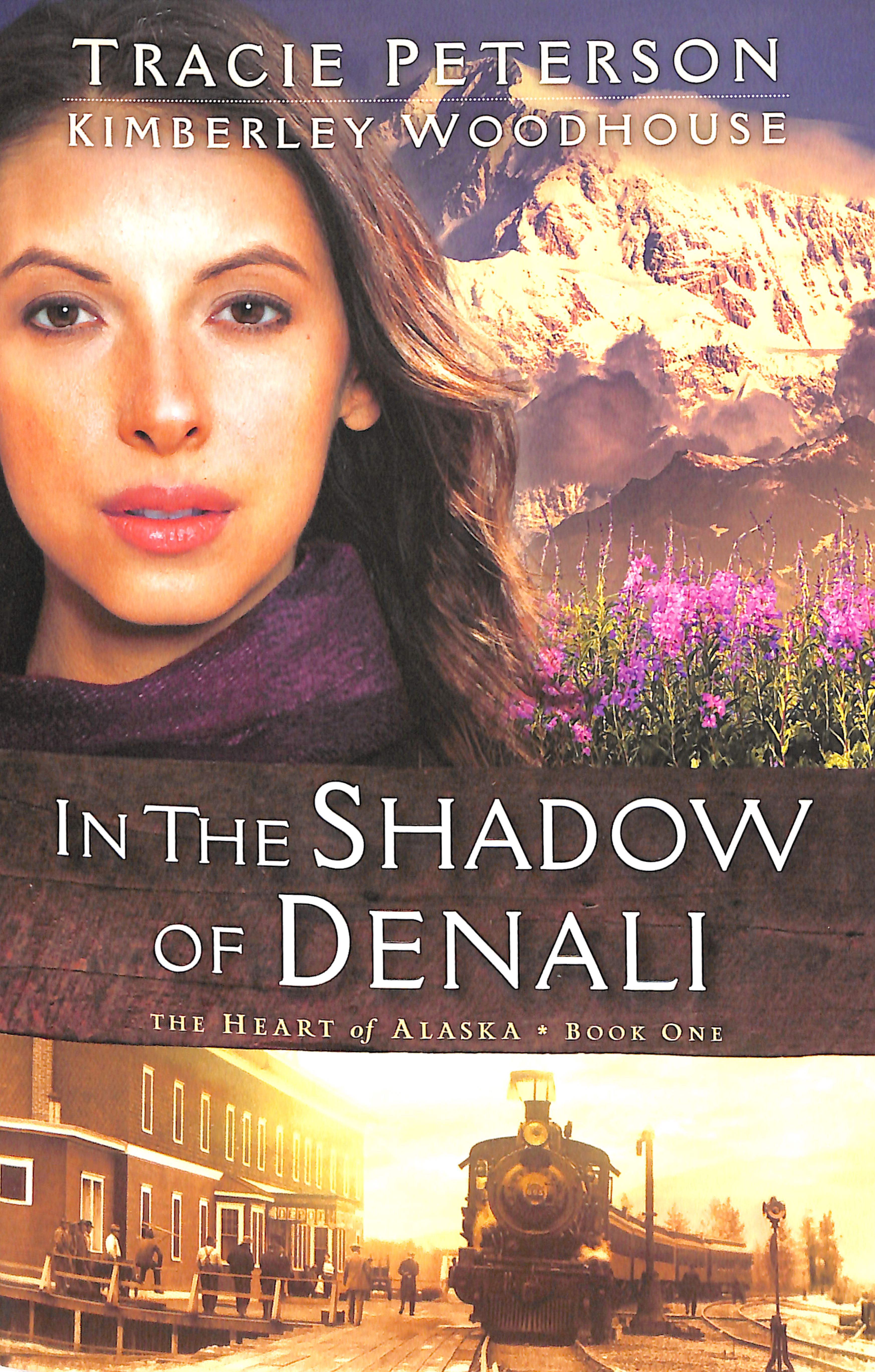 In the Shadow of Denali (#01 in The Heart Of Alaska Series)