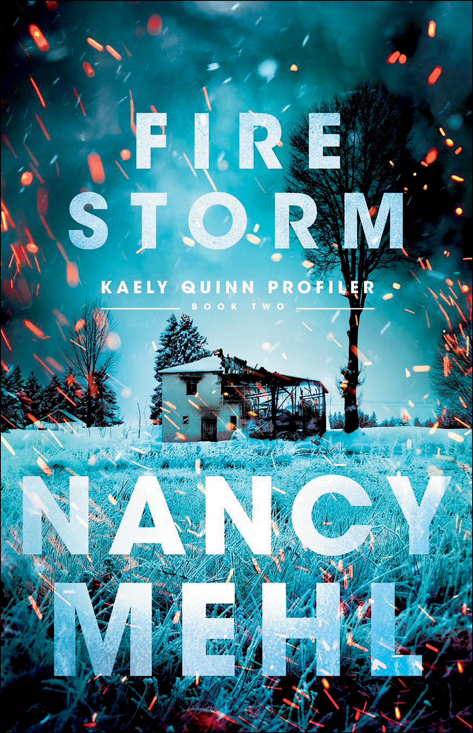 Fire Storm (#02 in Kaely Quinn Profiler Series)