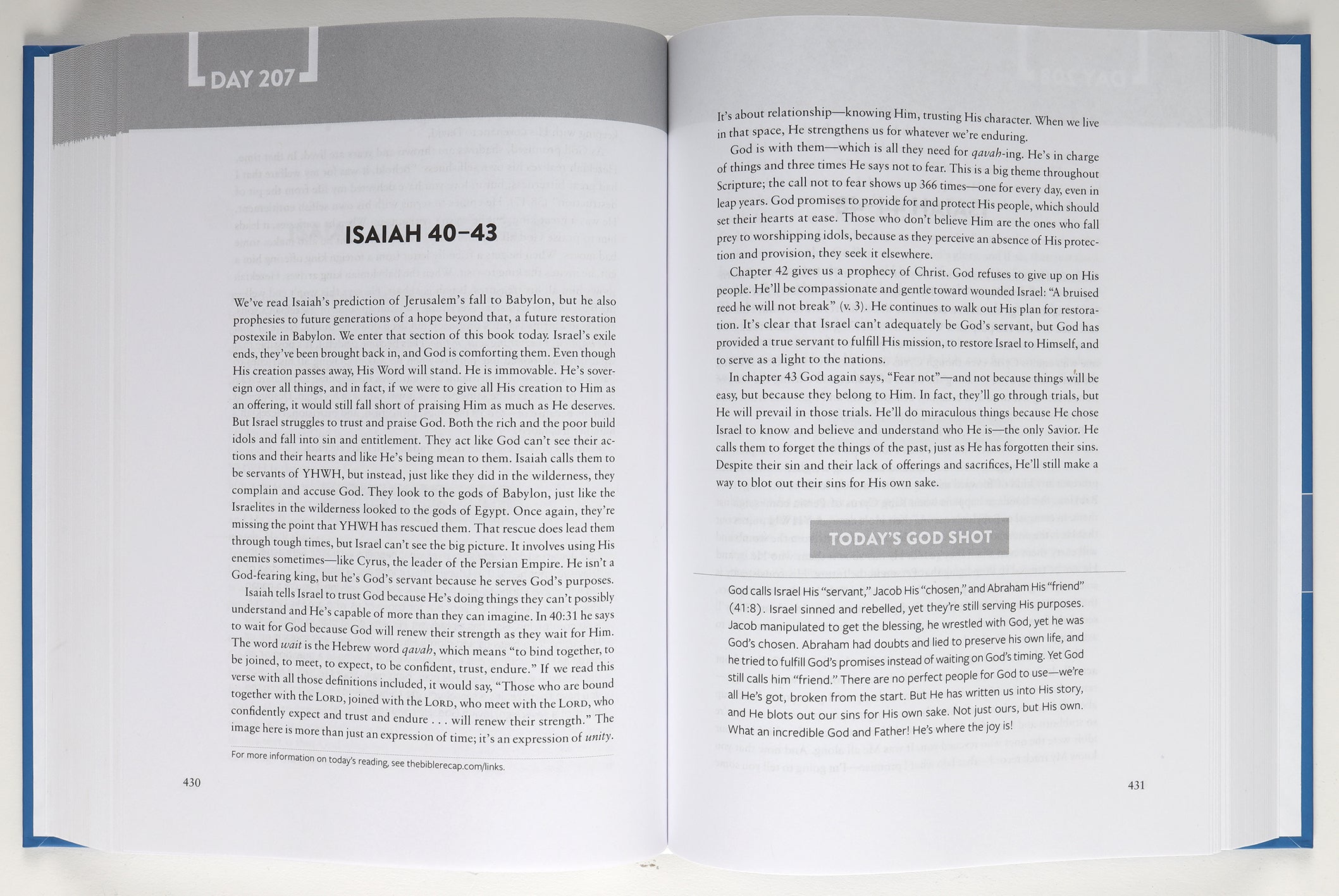 The Bible Recap: A One-Year Guide to Reading and Understanding the Entire Bible