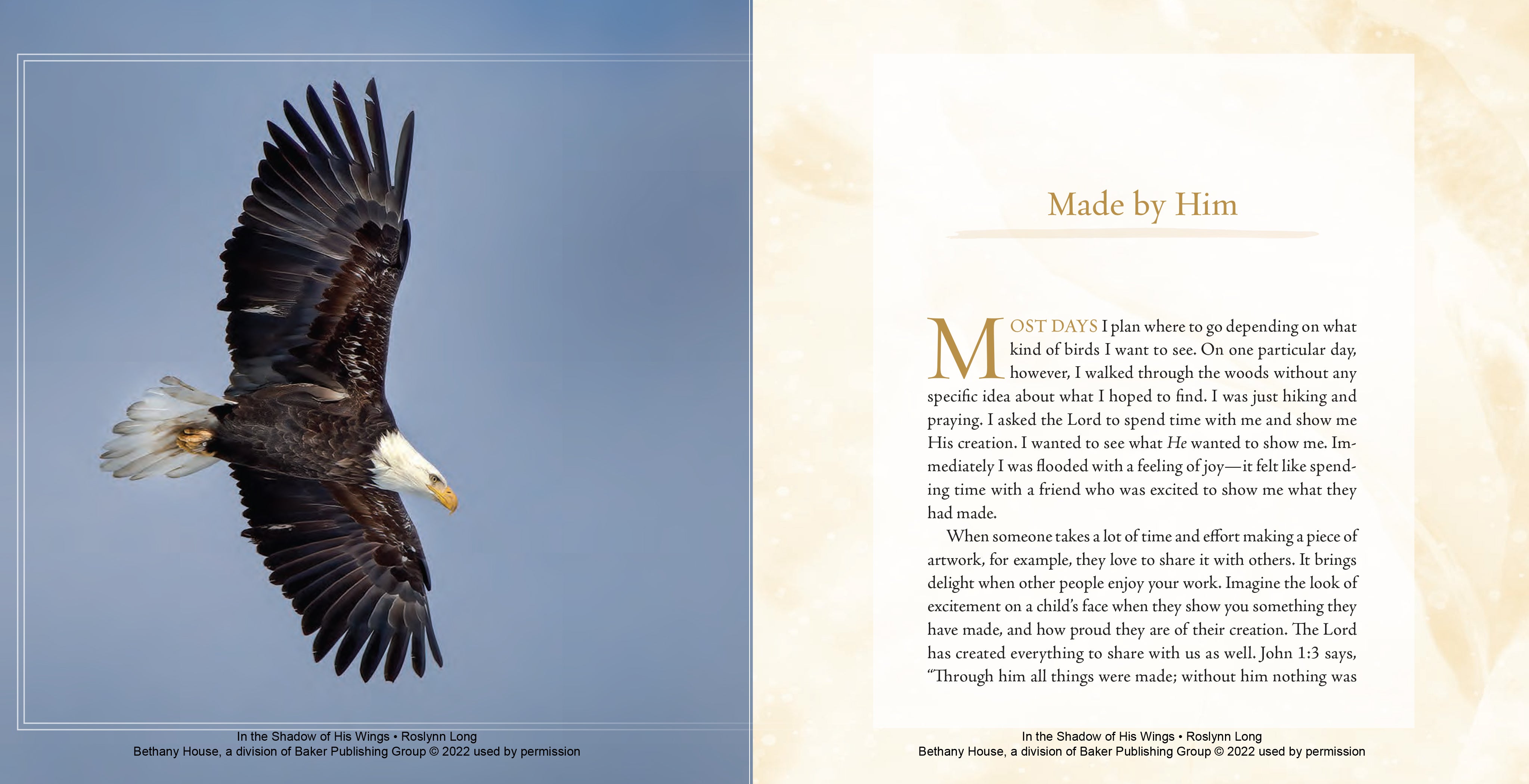 In the Shadow of His Wings: 40 Uplifting Devotions Inspired By Birds