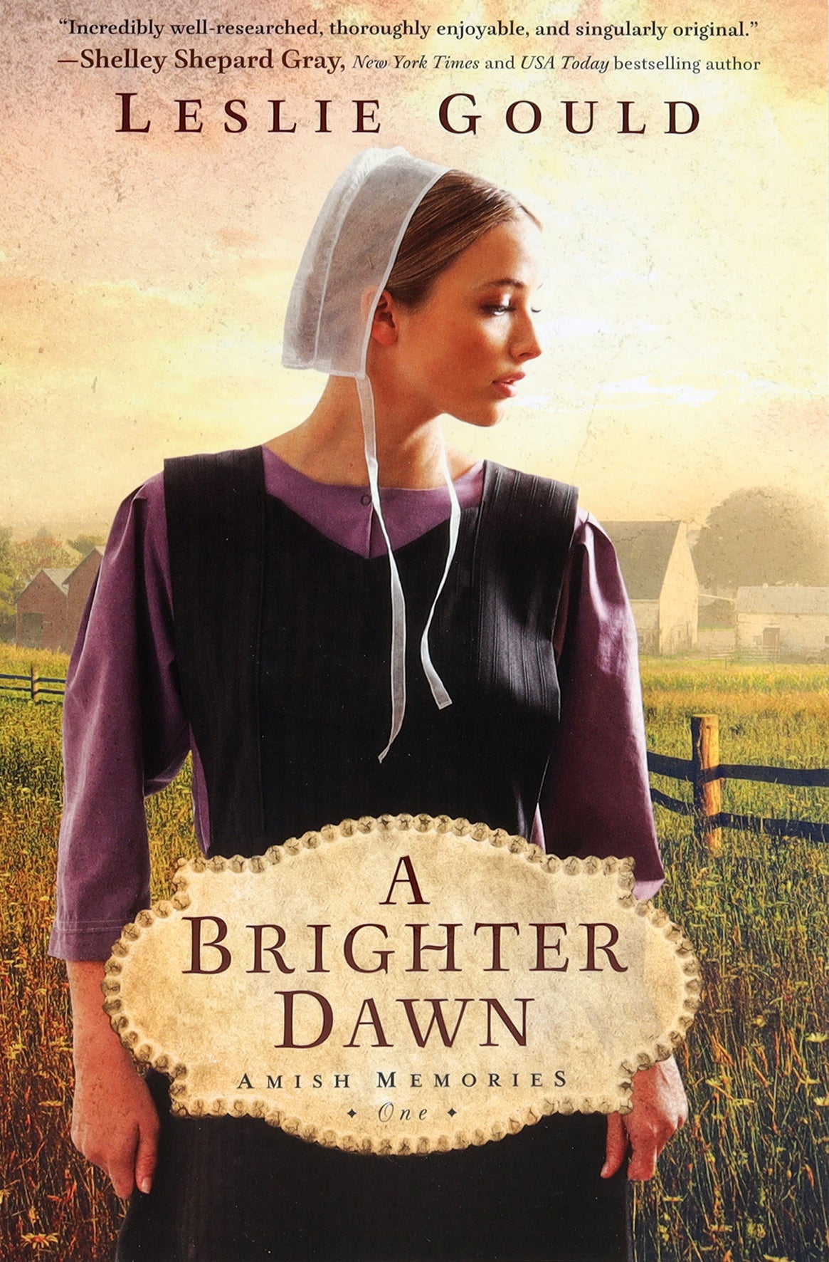 A Brighter Dawn (#01 in Amish Memories Series)
