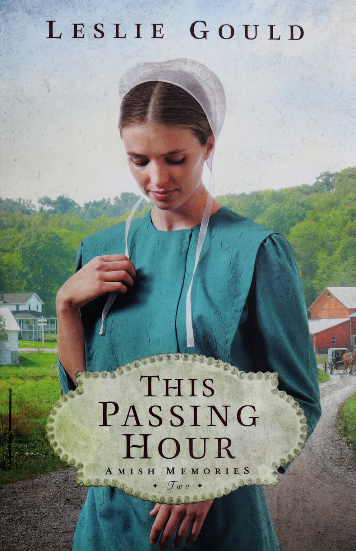 This Passing Hour (#02 in Amish Memories Series)