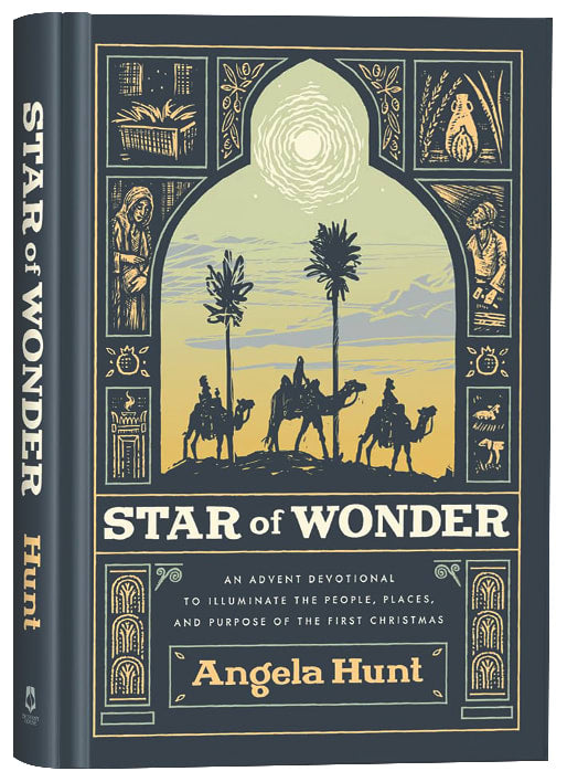 Star of Wonder: An Advent Devotional to Illuminate the People, Places, and Purpose of the First Christmas