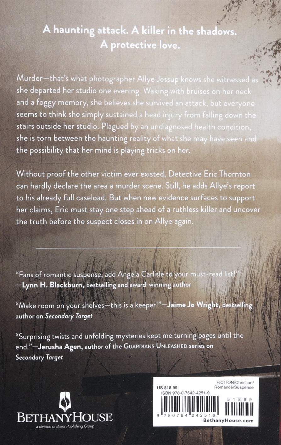 Shadowed Witness (#02 in The Secrets of Kincaid Series)