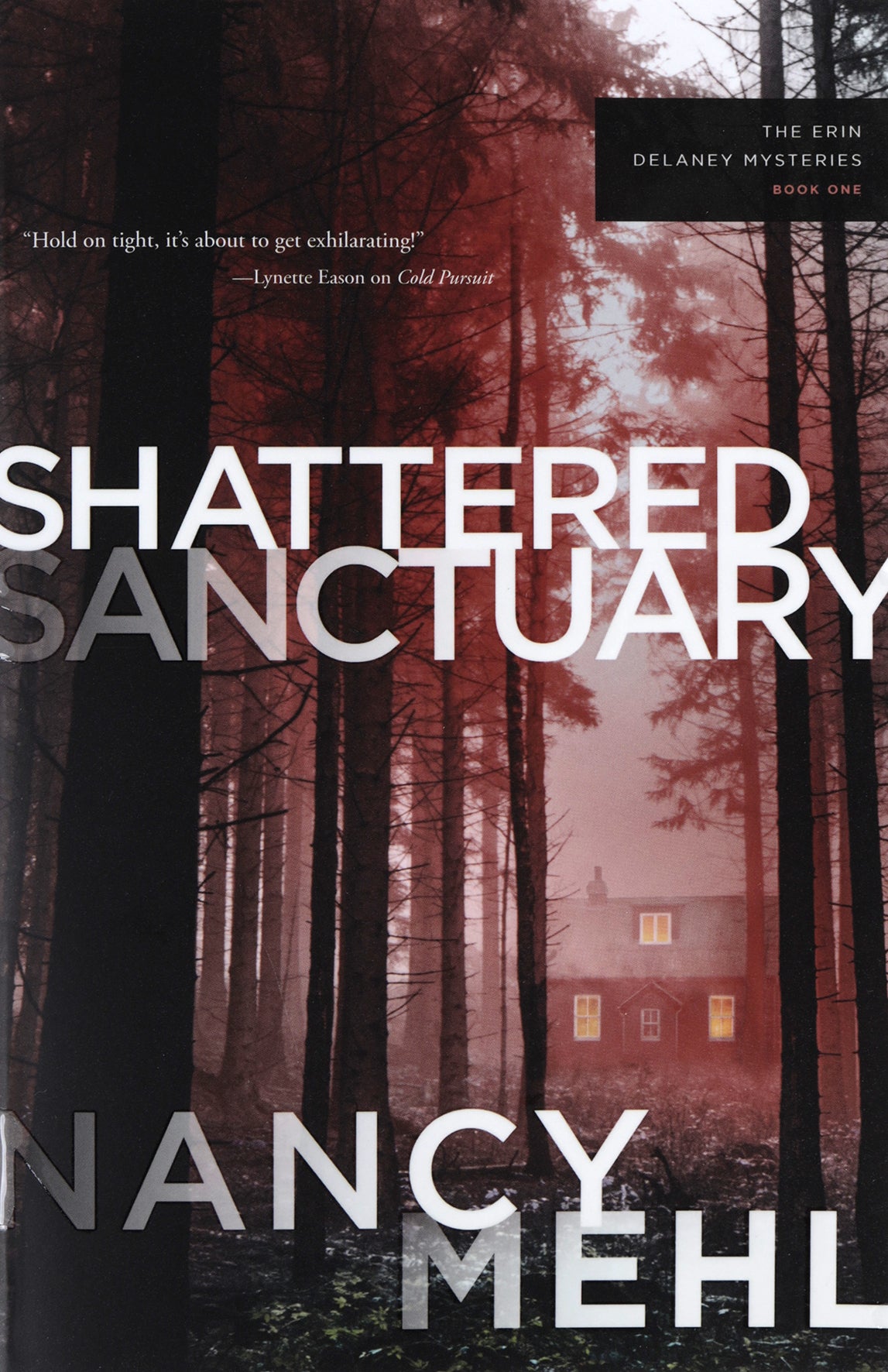 Shattered Sanctuary (#01 in The Erin Delaney Mysteries Series)