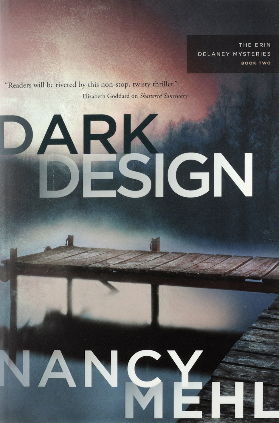 Dark Design (#02 in The Erin Delaney Mysteries Series)