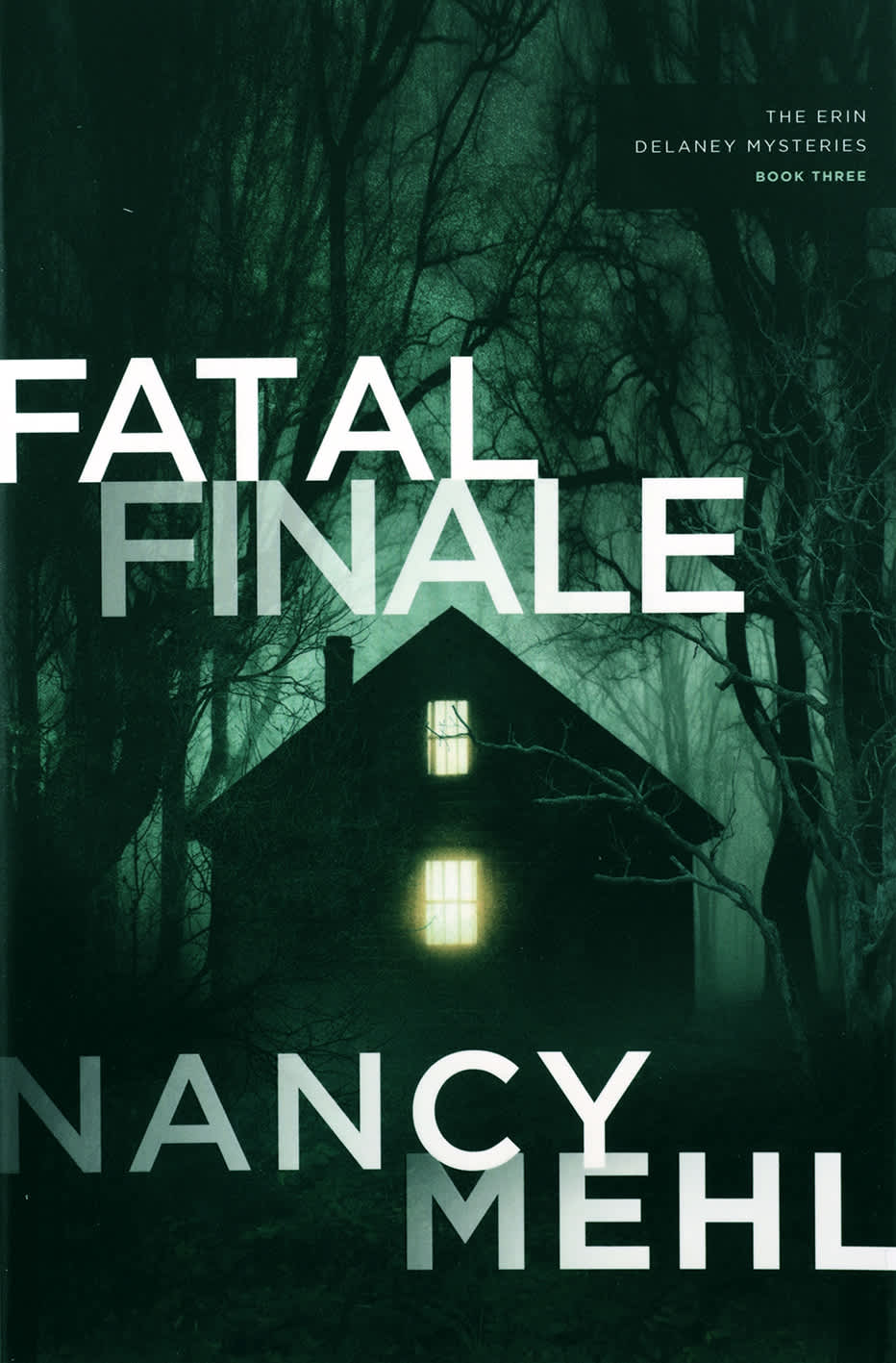 Fatal Finale (#03 in The Erin Delaney Mysteries Series)