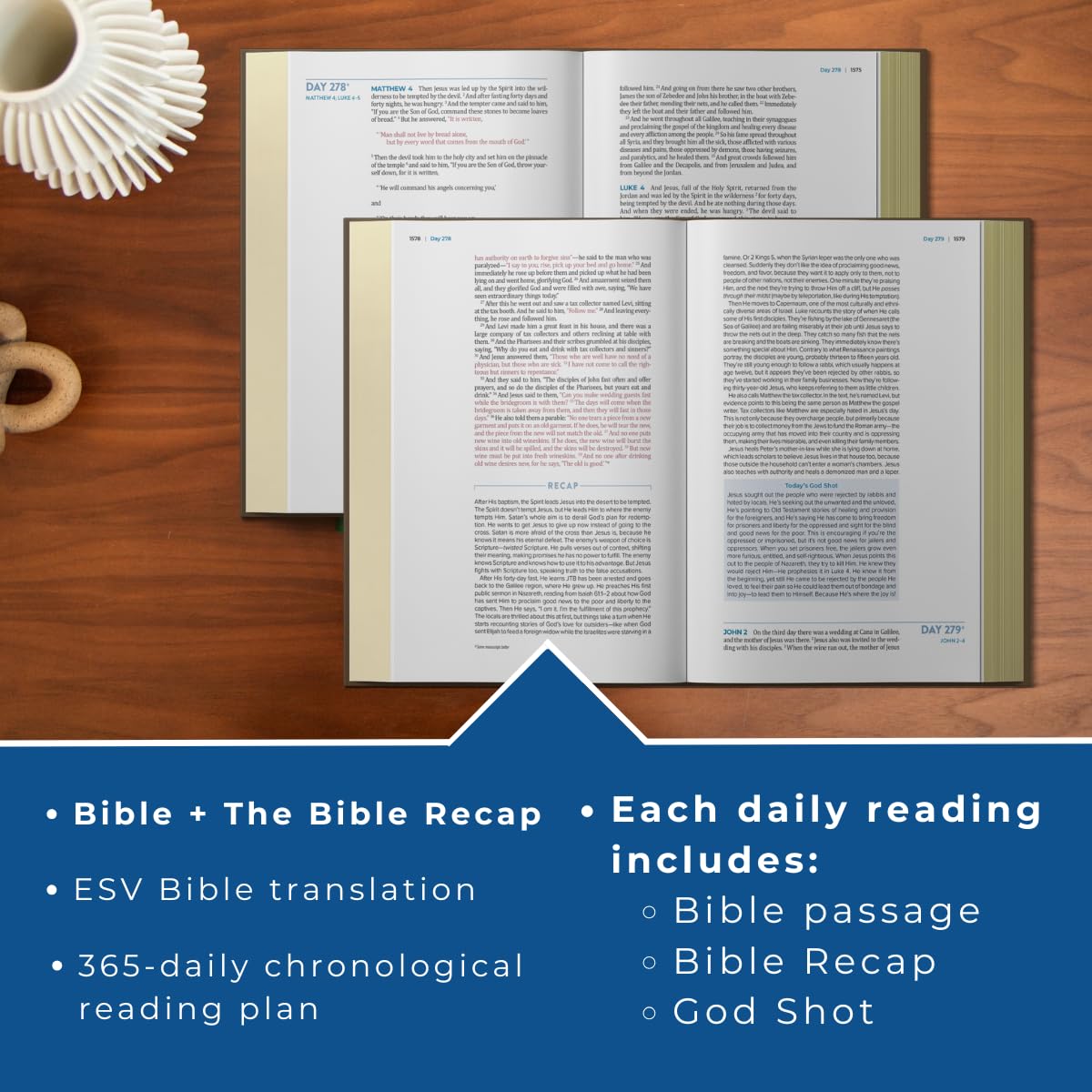 ESV The Bible Recap 365-Day Chronological Study Bible Brown (Red Letter Edition)