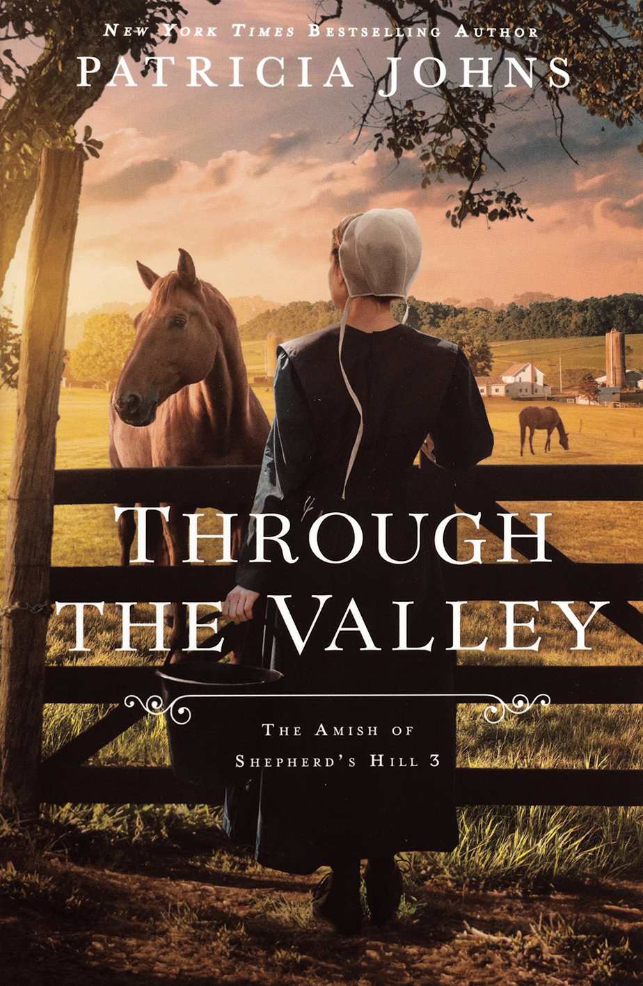 Through the Valley (#03 in Amish of Shepherd's Hill Series)