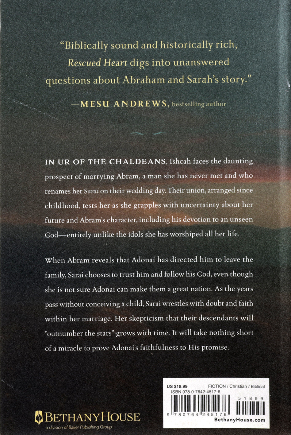 Rescued Heart: The Story of Sarah (#01 The Matriarchs Series)