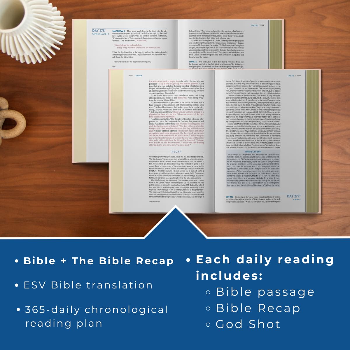 ESV The Bible Recap 365-Day Chronological Study Bible Pink (Red Letter Edition)