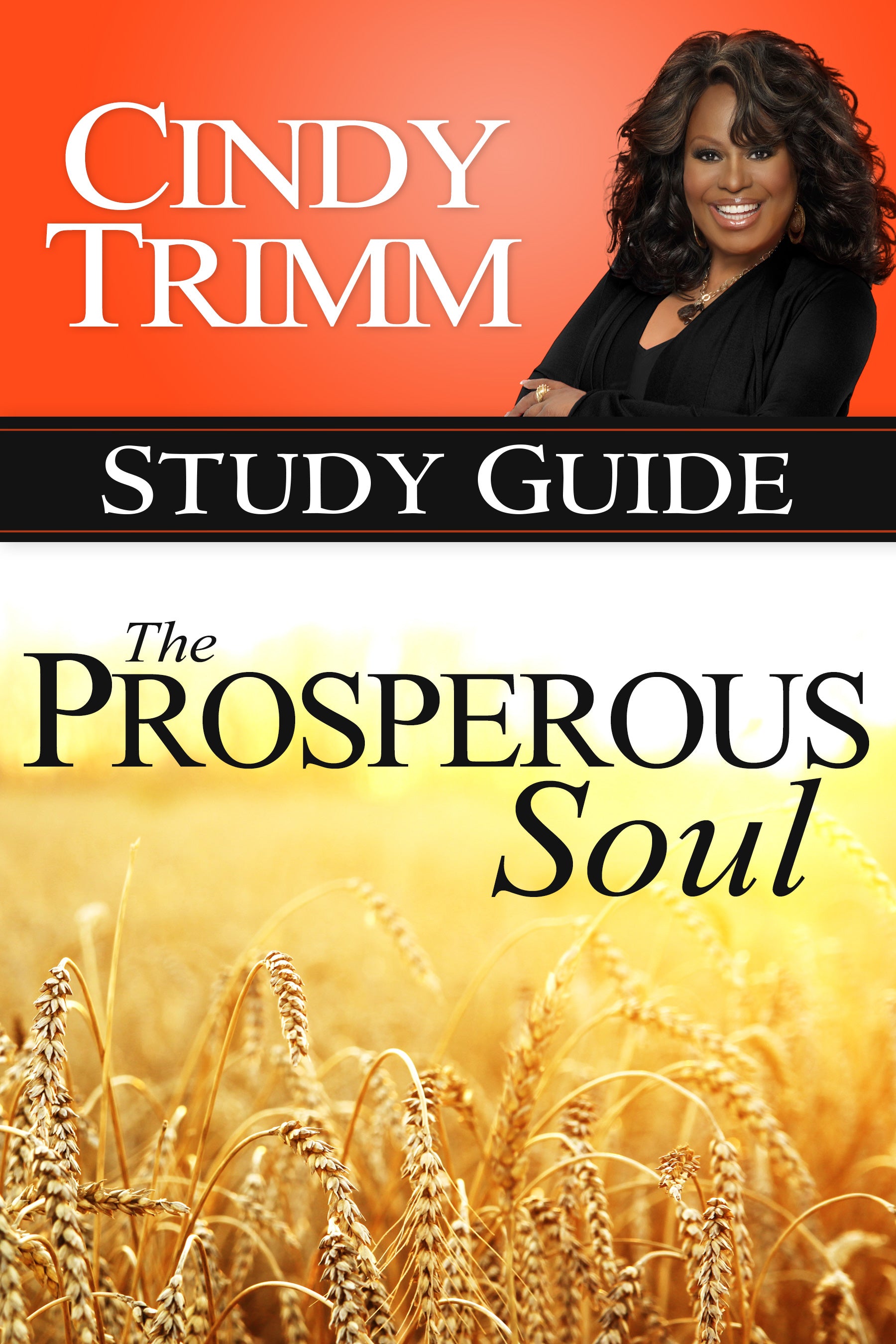 The Prosperous Soul Study Guide