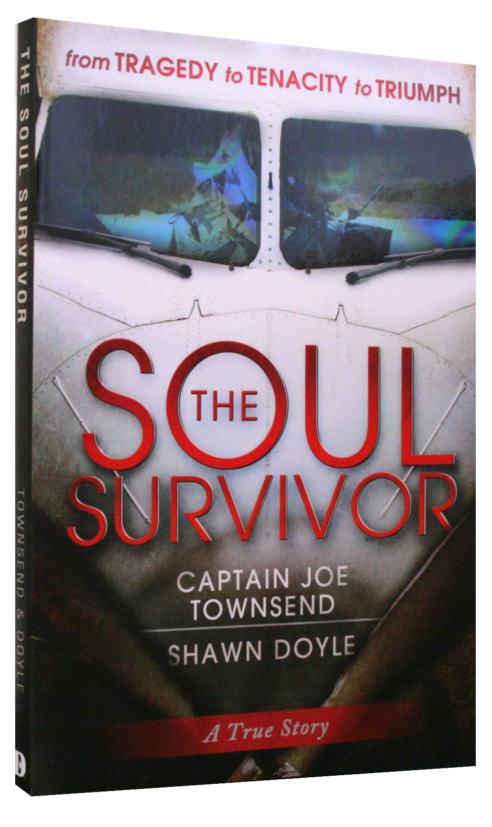 The Soul Survivor