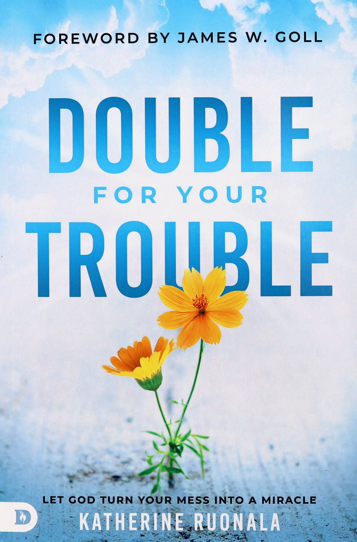 Double For Your Trouble: Let God Turn Your Mess Into a Miracle