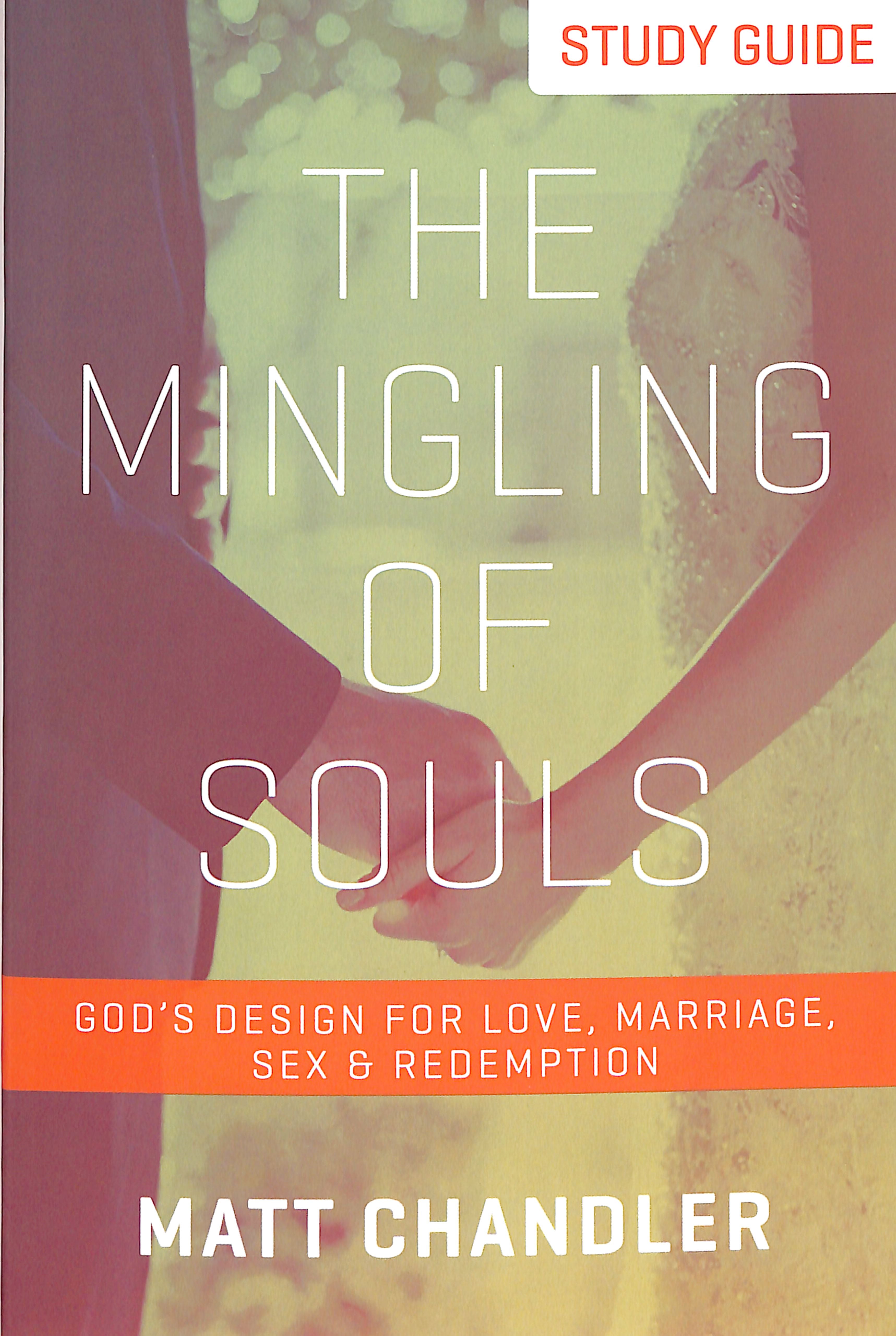 The Mingling of Souls (Study Guide)