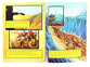 The Action Storybook Bible