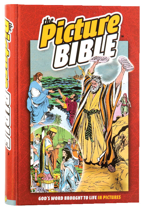 The Picture Bible (Hardcover)